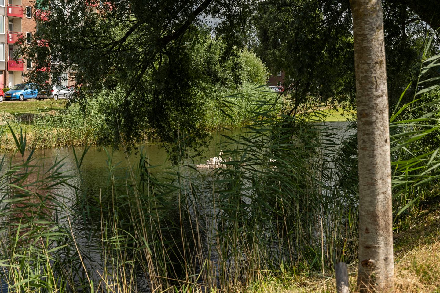 buiten-11.jpg