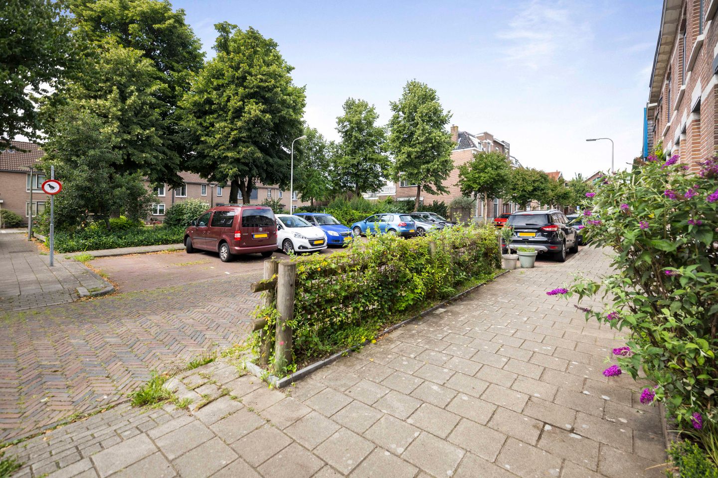 buiten-10.jpg